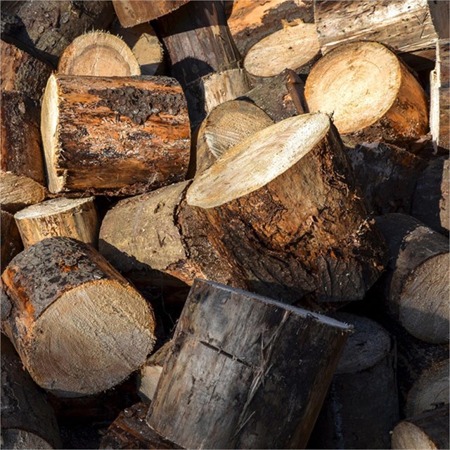 Compraventa de madera en Pontevedra