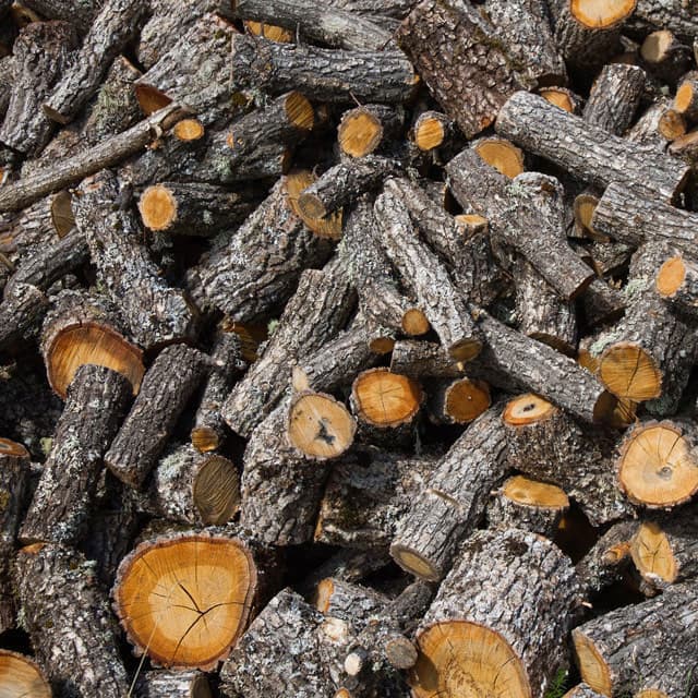 Trabajos de ESSAL Forestal