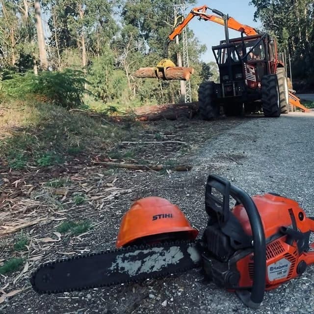 Retiro de maleza y restos vegetales para un terreno más accesible