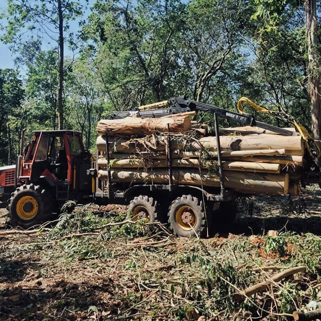 Flota especializada en transporte de madera y biomasa en Pontevedra