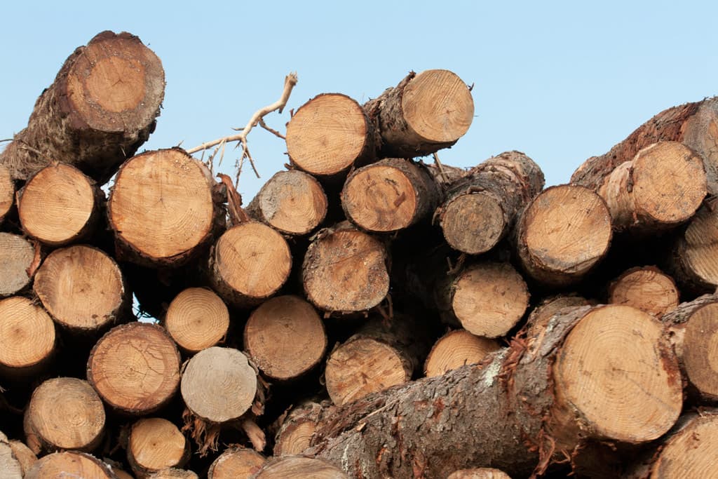 Gestión profesional de compraventa de madera en Pontevedra
