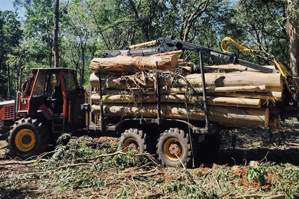 Transporte