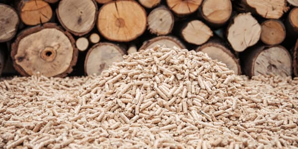 Biomasa forestal en Ourense