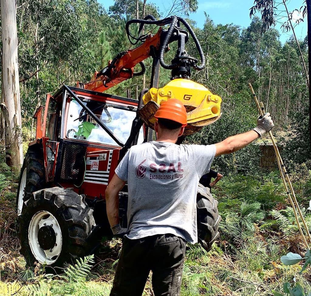 Valores Essal Forestal
