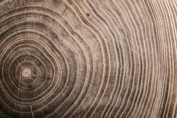 Venta de madera de calidad